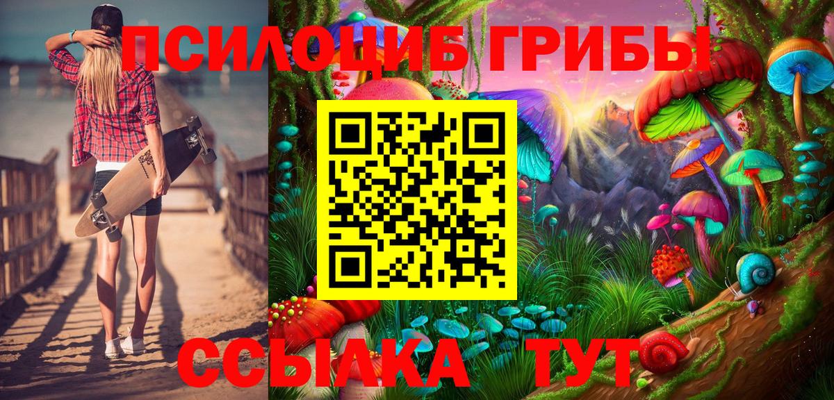 Псилоцибиновые грибы MAGIC MUSHROOMS Губаха
