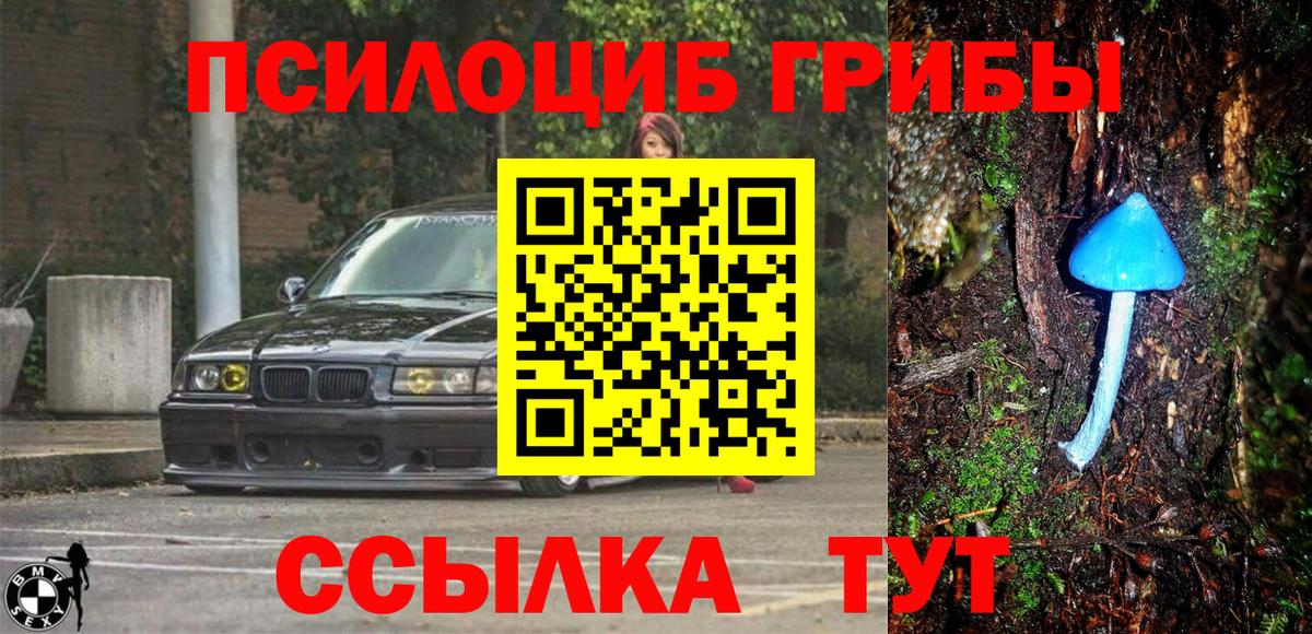 Губаха  Галлюциногенные грибы ЛСД  Вход с VPN 